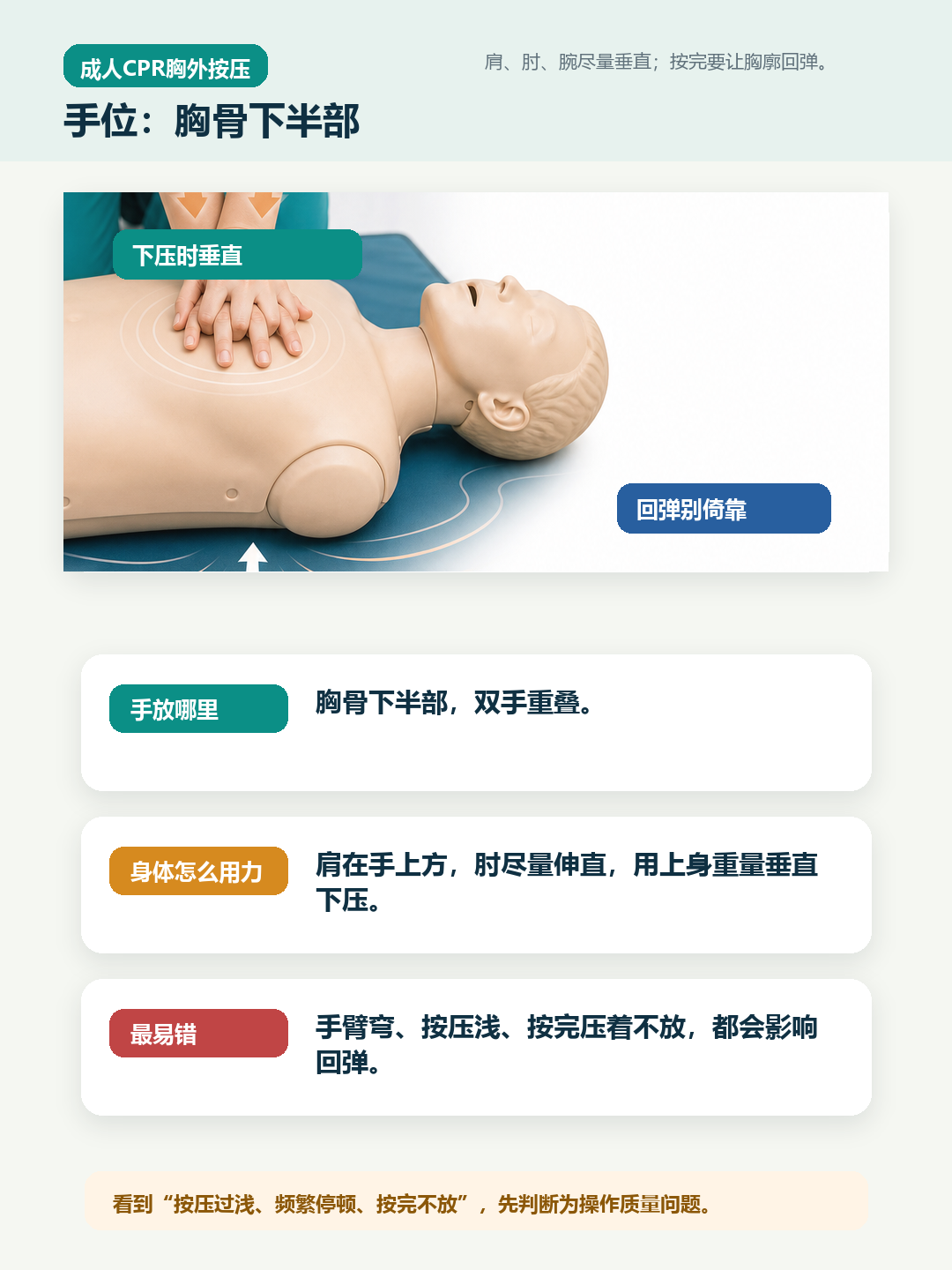 成人CPR手位和回弹